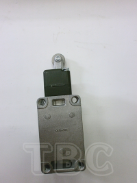 Micro Switch-WL-CA2-N